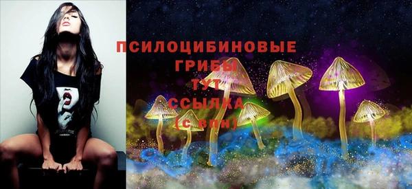 крисы Балахна