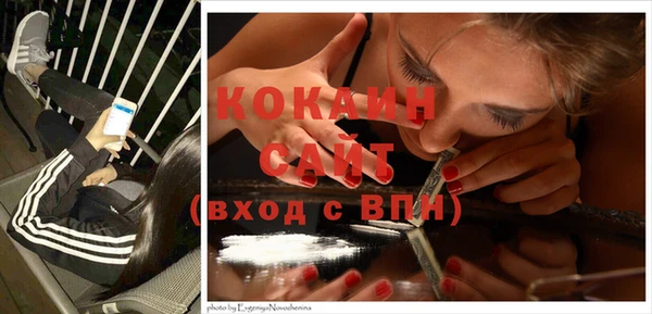 крисы Балахна