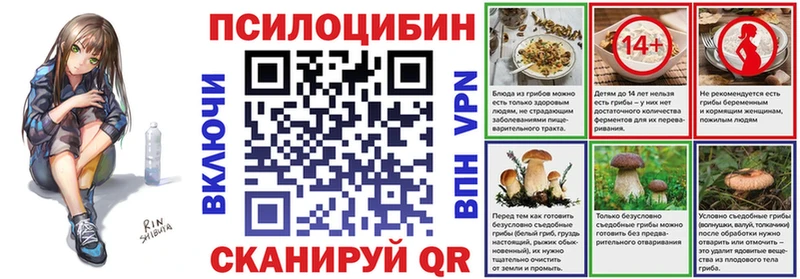 Псилоцибиновые грибы Psilocybine cubensis  Костерёво 